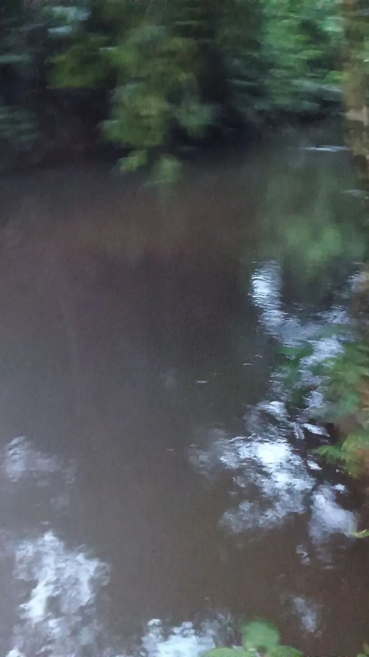 Sítio 