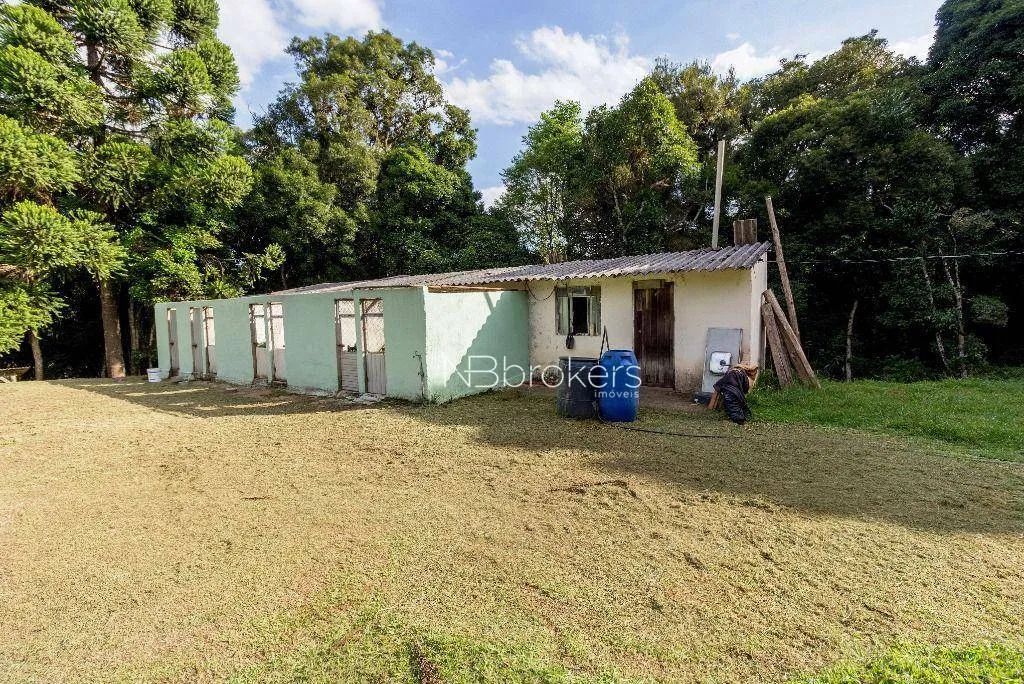 Chácara com 3 dormitórios à venda, 20000 m² por R$ 800.000,00 - Área Rural de São José dos - Foto 8