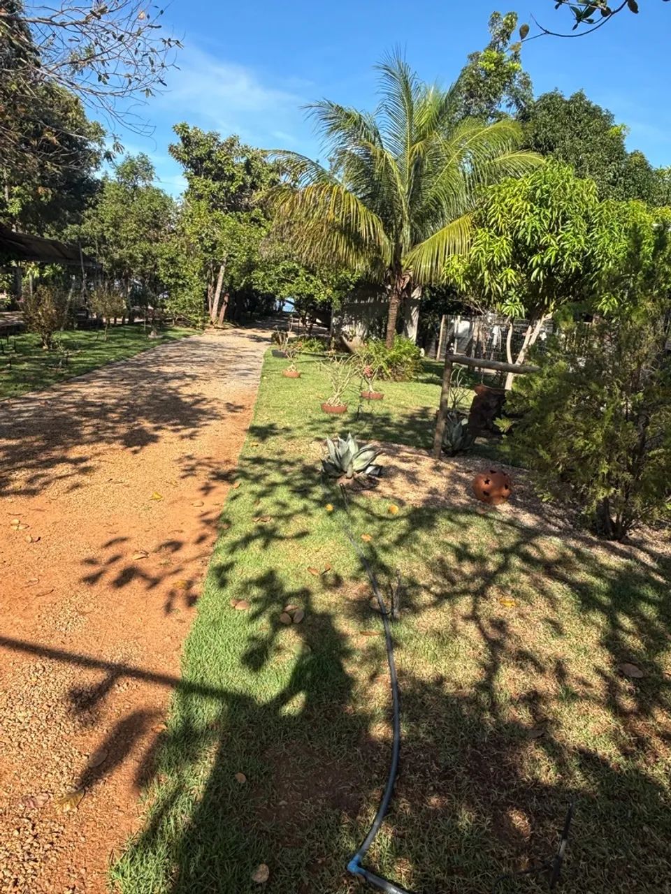 Chácara/Rancho - Foto 4