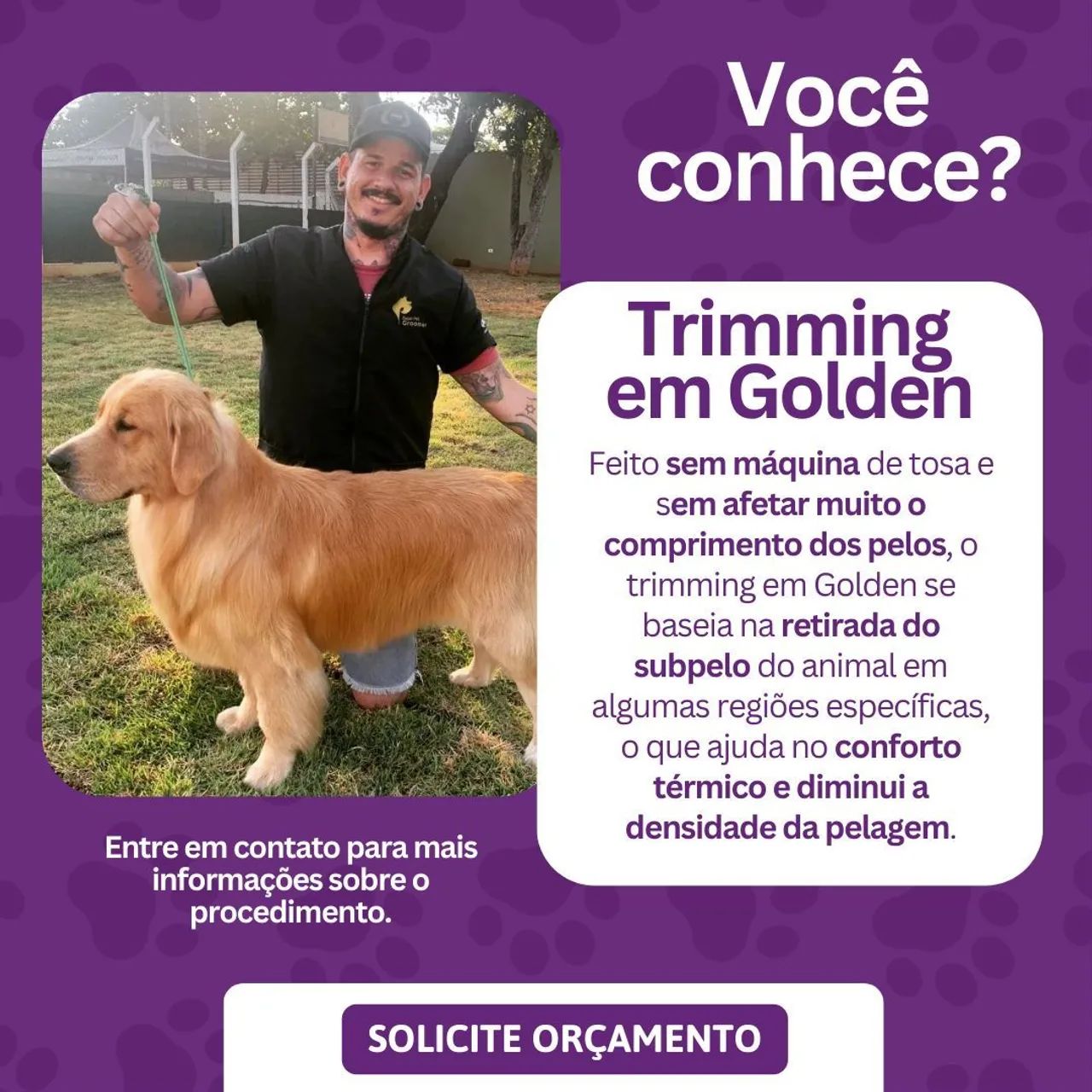 Banho e tosa à Domicílio  - Foto 4
