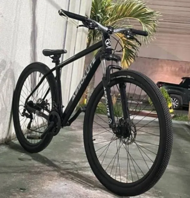 Bicicleta aro 29
