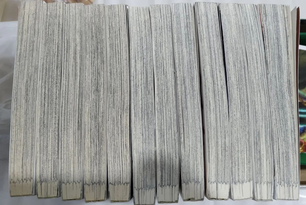 Mangá Mabataki yori Hayaku!! Série Completa - Foto 2