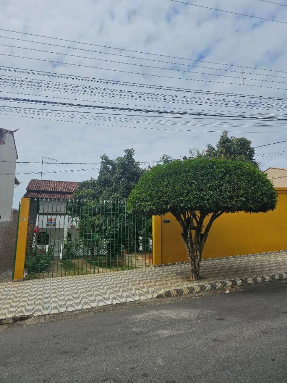 Foto - Belo Horizonte - Etelvina Carneiro