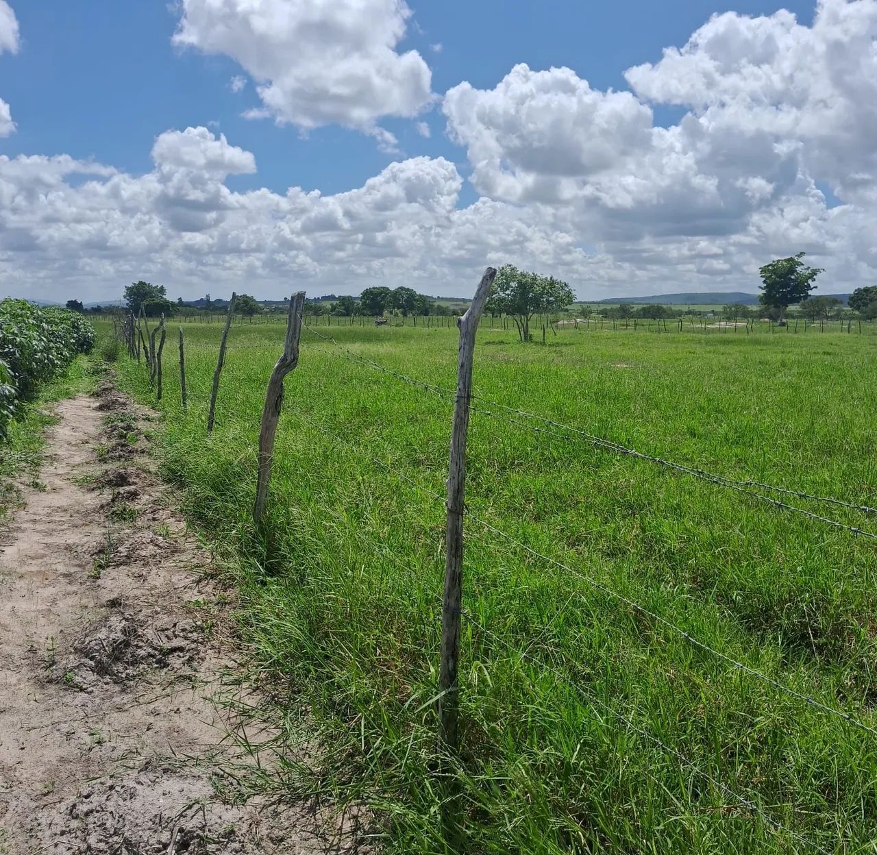 Vendo terreno no povoado campo do criolo lagarto se - Foto 4