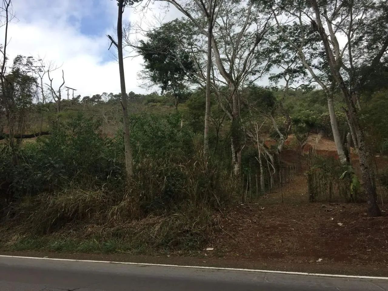 Chácara localizada no município de Barra Longa - Foto 5