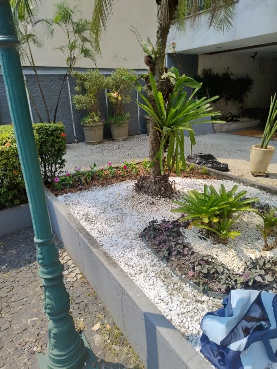 Paisagismo e jardinagem  - Foto 5