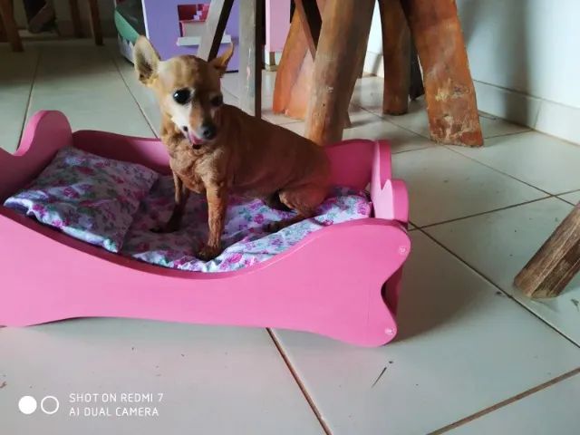 Cama para cachorro ou gato mdf - Foto 4