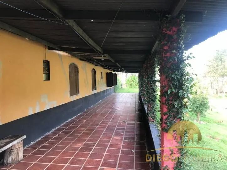 Sítio em Mairiporã á venda com 41.000 m² - Casa com 4 dormitórios - Foto 5