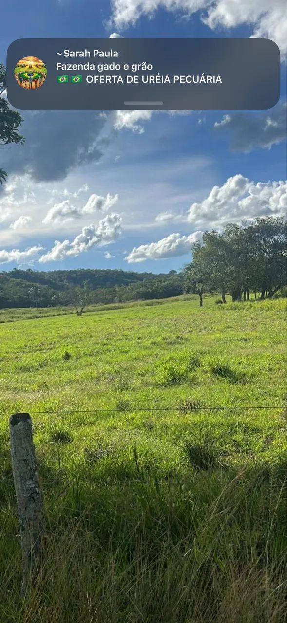 Fazenda dupla aptidão município do Prata  - Foto 3