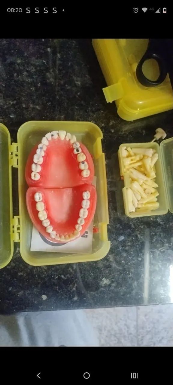 Manequim pronew dentistica  - Foto 2
