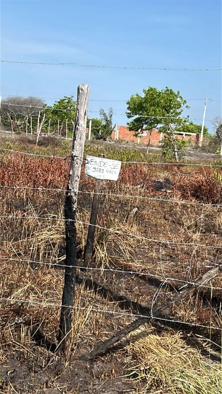 Terreno no loteamento trevo do Francês  - Foto 5