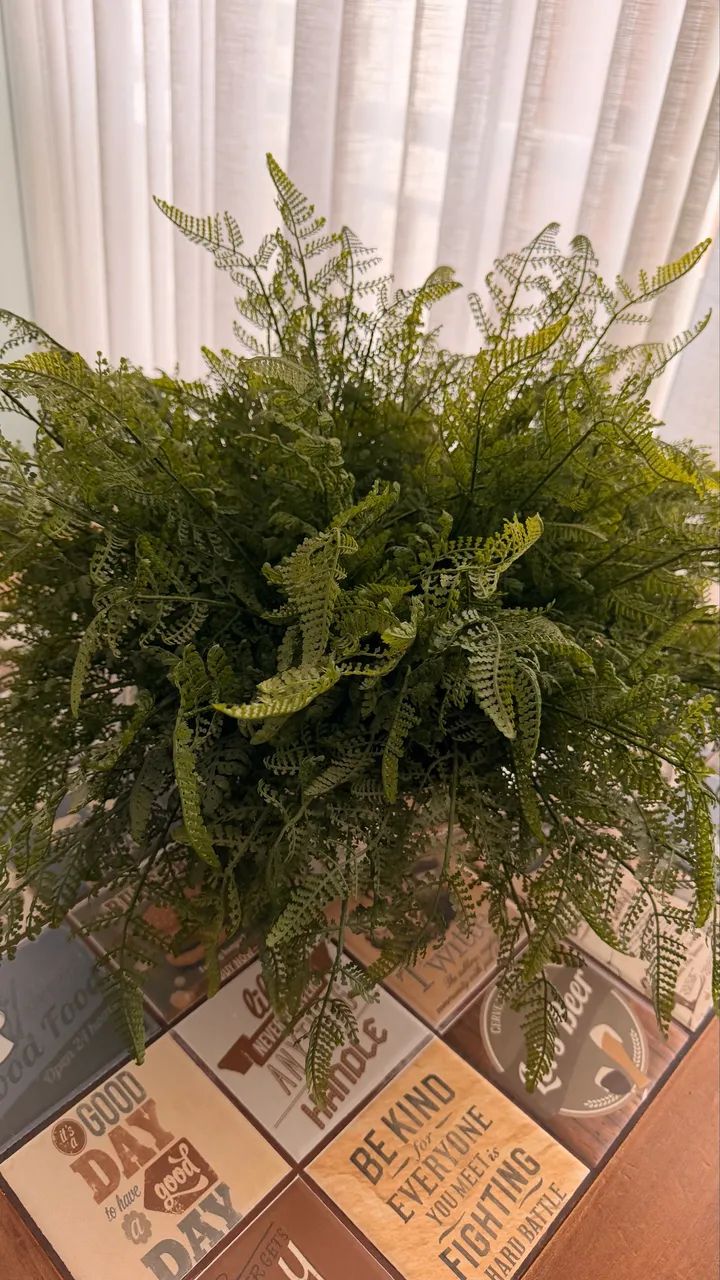 Vaso Planta  - Foto 2