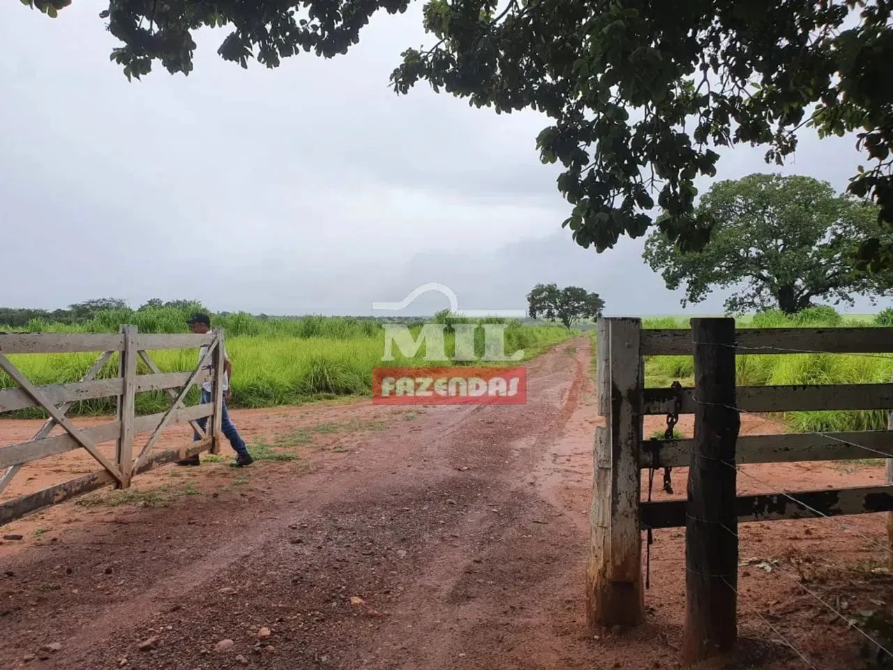 Fazenda 615 alqueires (2.976 hectares) Taguatinga - To - Foto 5