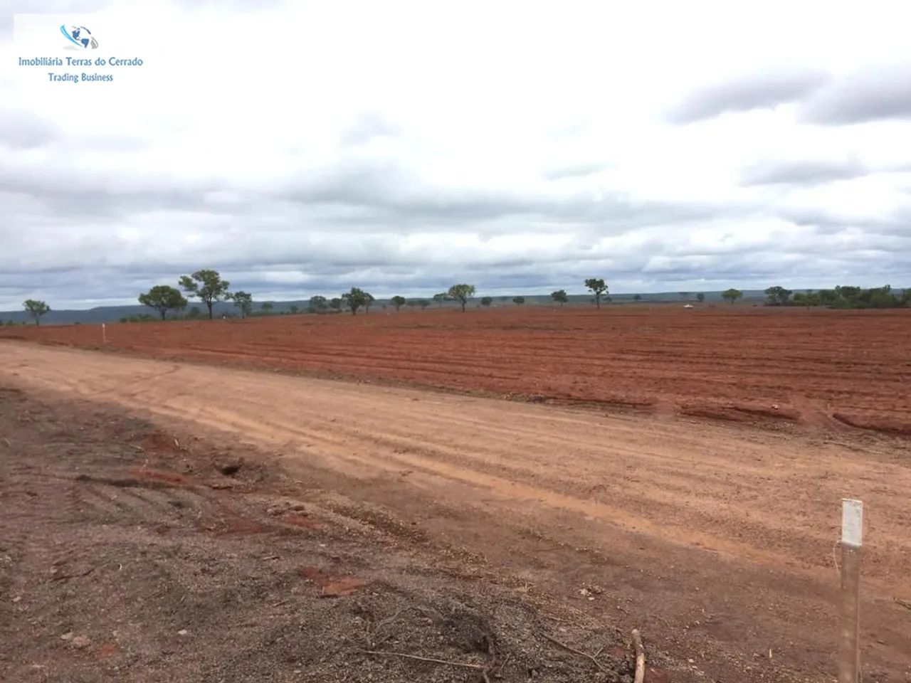 FAZENDA COM 435 HECTARES ARRENDADA PRA CANA - Foto 5