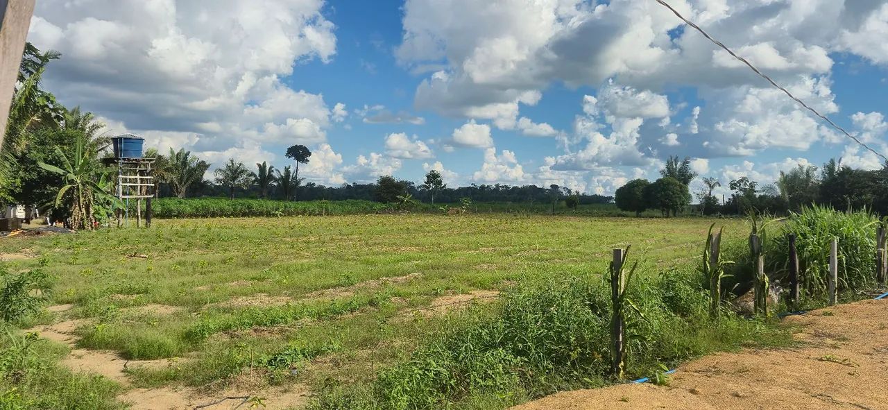 Vendo sitio na linha 67 a 23 km de jaci paraná  - Foto 5