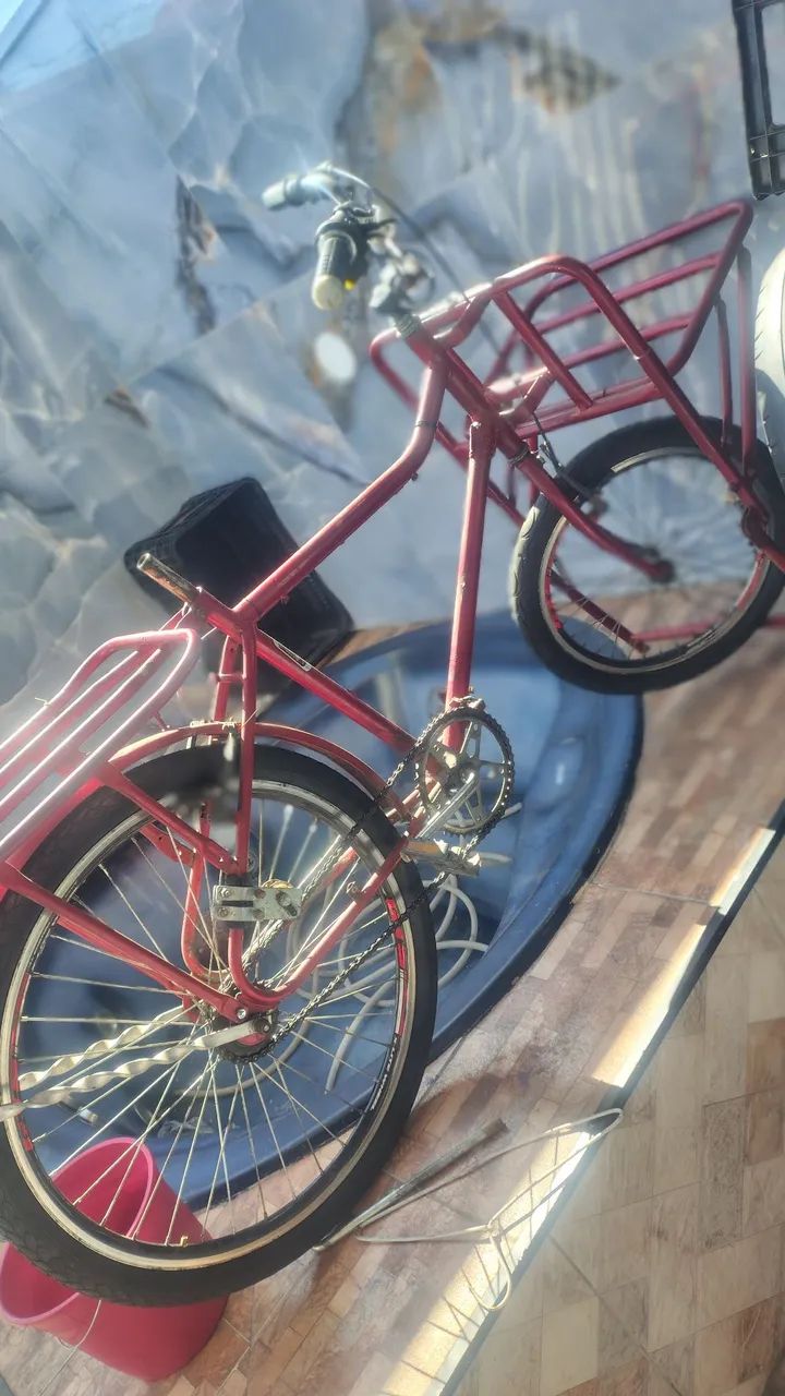 BICICLETA CARGUEIRA 