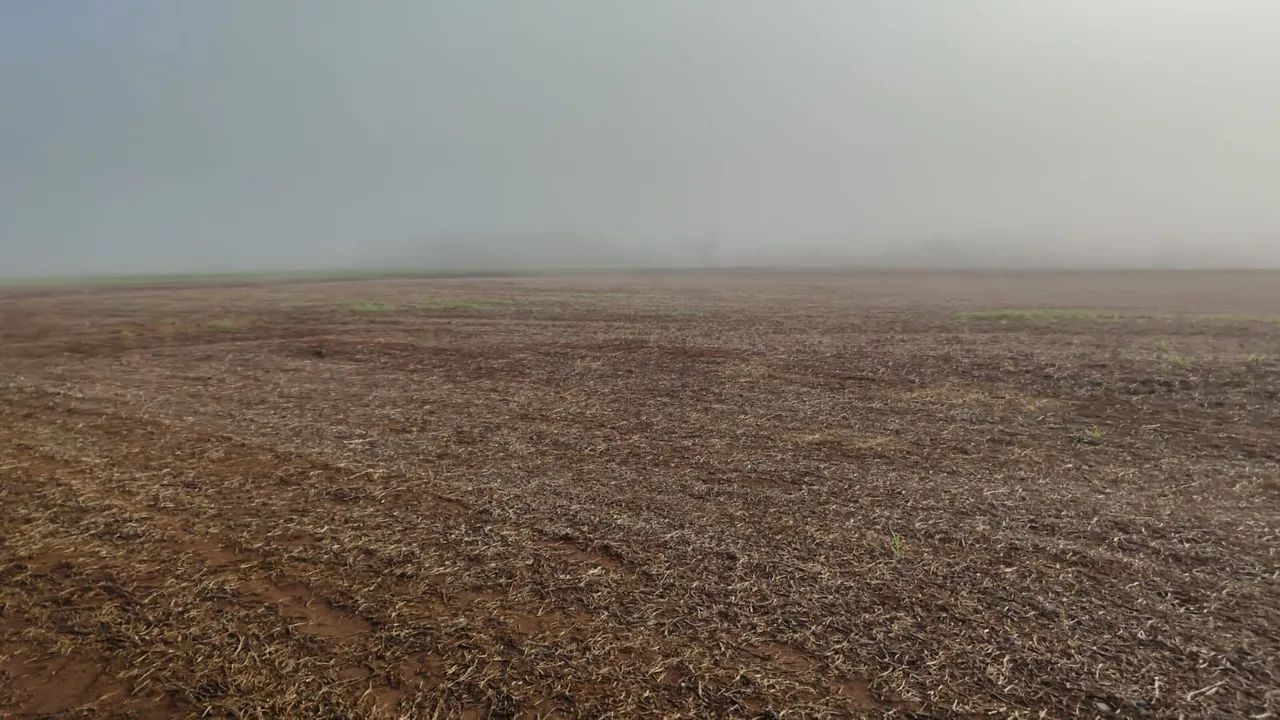Fazenda  - Foto 2