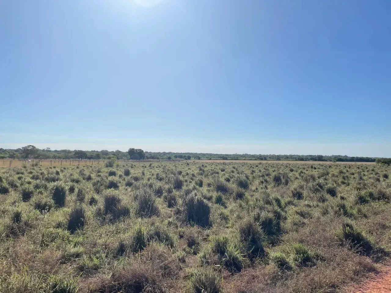 Fazenda a venda em Formoso do Araguaia- Tocantins - Foto 2