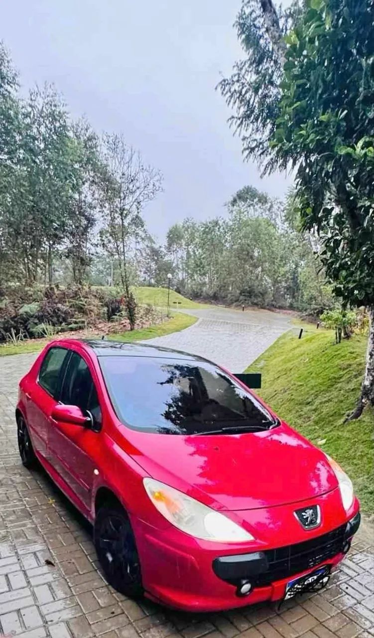 Peugeot 307 307 Feline/Griff/Premi. 2.0 Flex 5p Aut. 2009