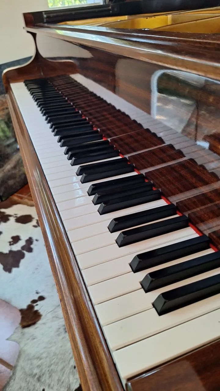 Piano Cauda Bechstein S - Foto 2