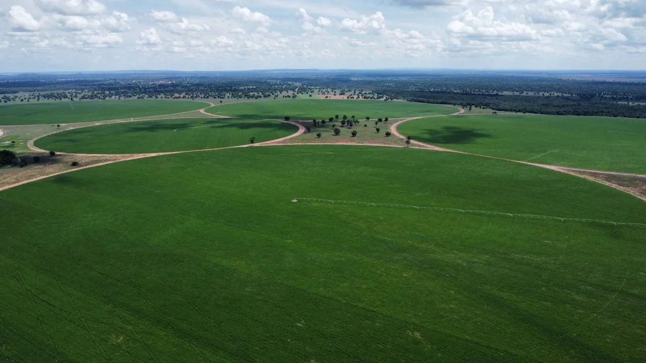 Fazenda Jussara Goiás  - Foto 3