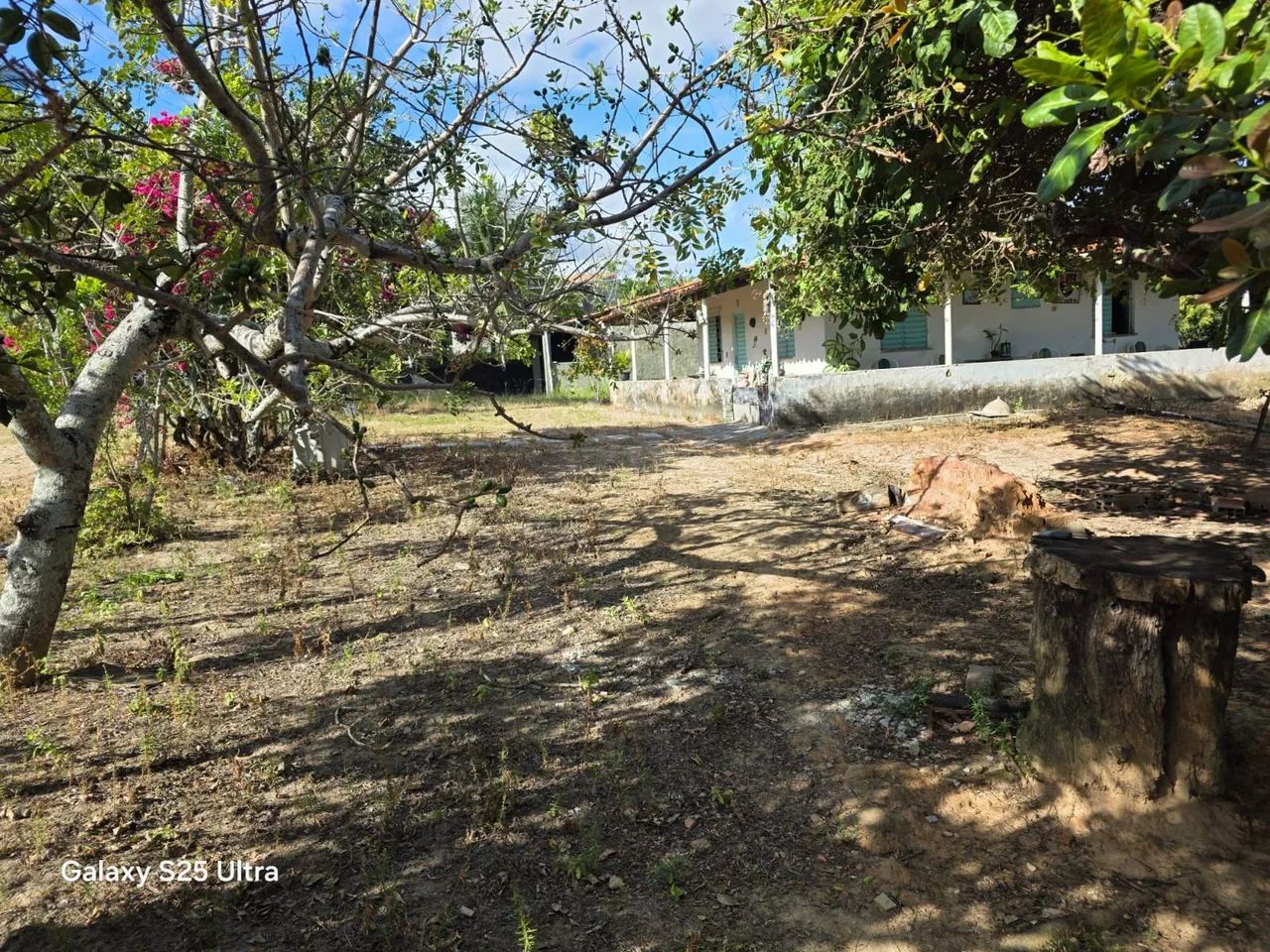 Terro lote - Foto 3