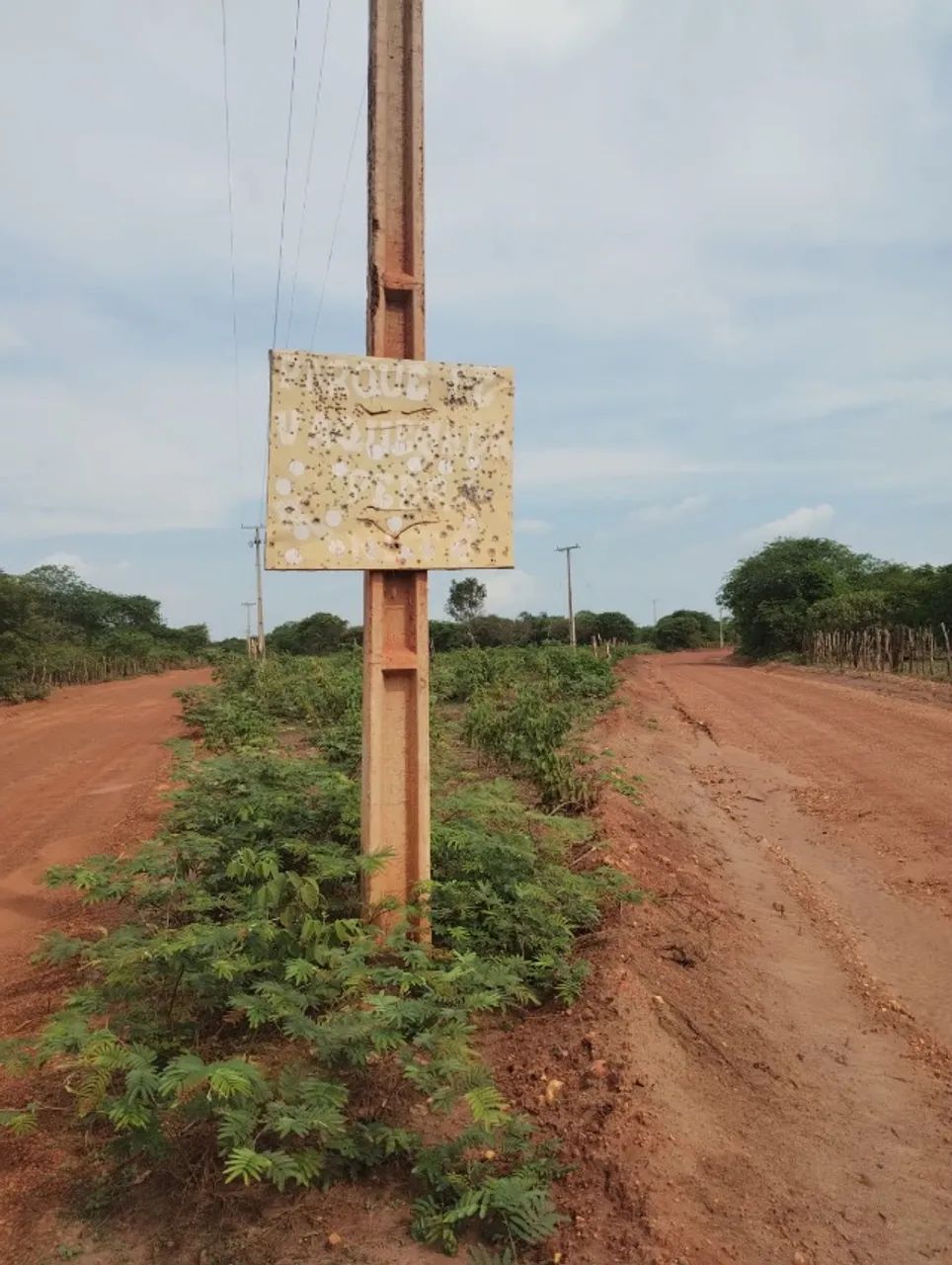 Vendo roça no Ipiranga do Piauí  - Foto 2