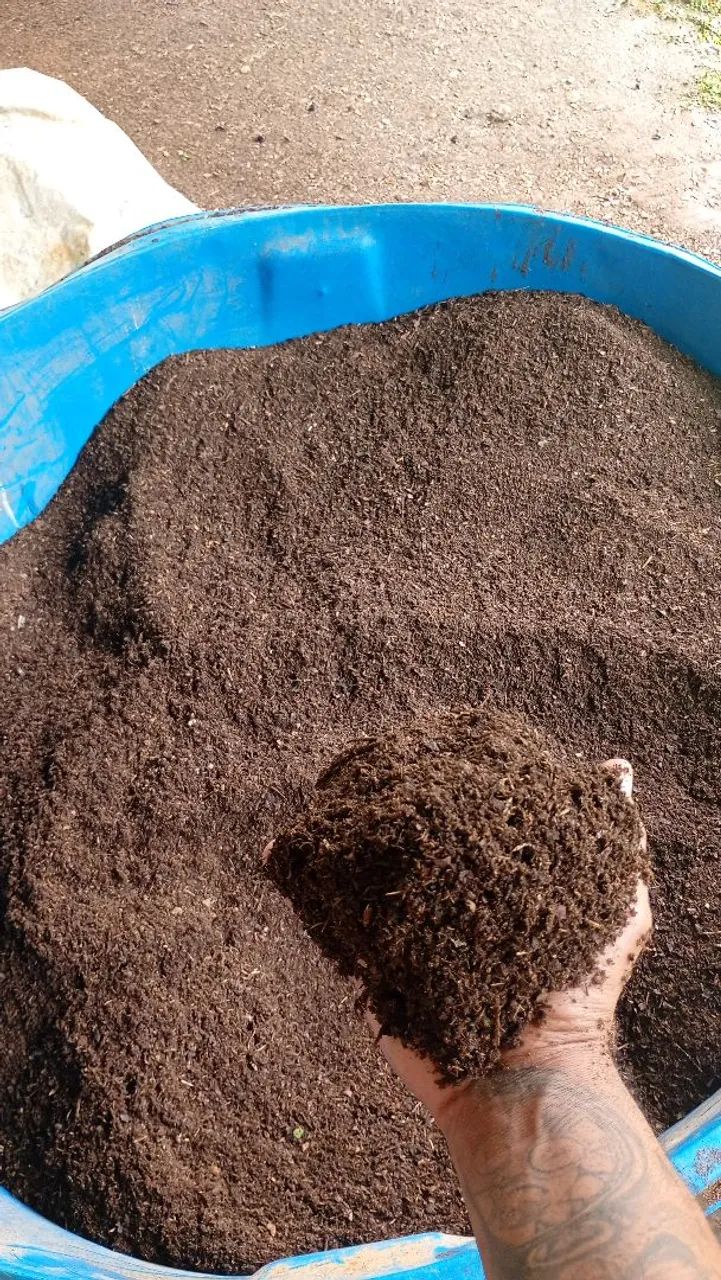 Composto orgânico  - Foto 4