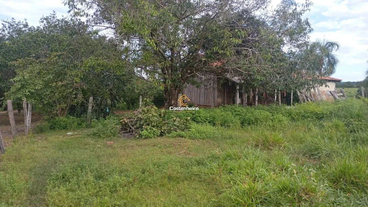 Fazenda - 239 alqueires - Lagoa do Tocantins - Foto 4