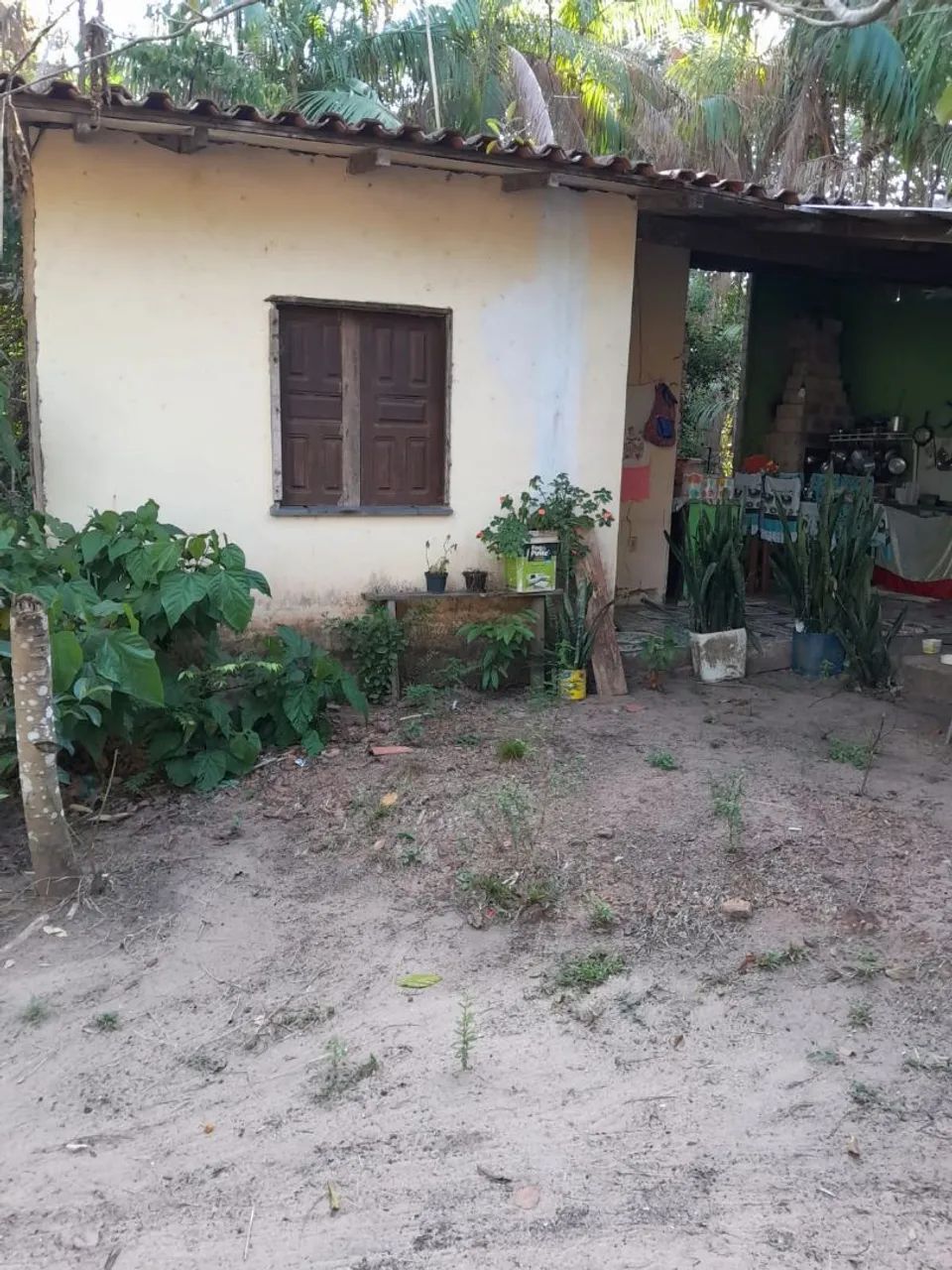 Chácara com igarapé - Foto 3