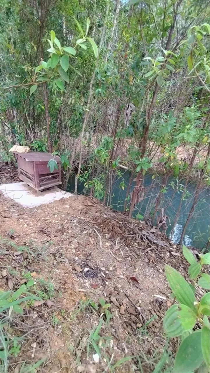 Vendo Chácara Rodeador Brazlândia  - Foto 4