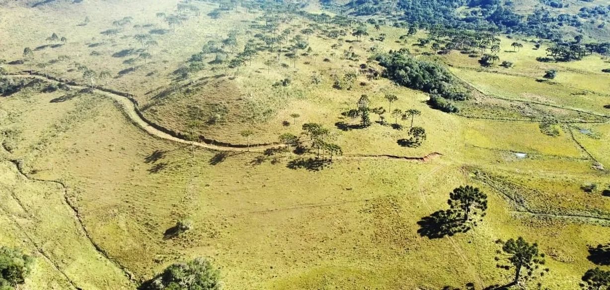 Fazenda em S ão Joaquim- Serra Catarinense- 182 hectares - Foto 2