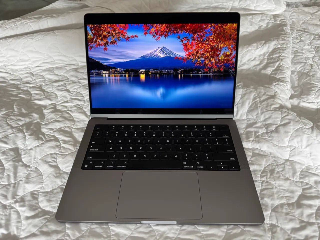 【美品M2 32GB 1TB MacBook Pro14 2023スペースグレー 14インチMacBook Pro [整備済製品] 12コアCPUと19コアGPUを搭載した