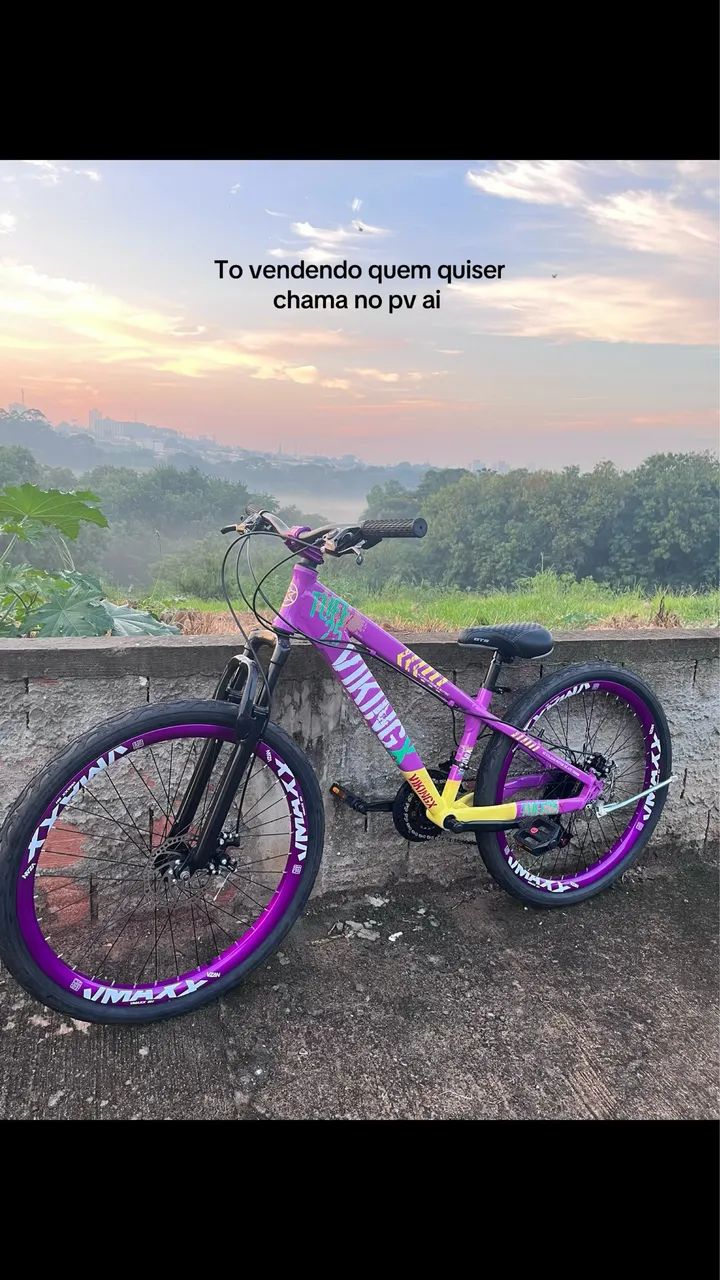 Bike viking