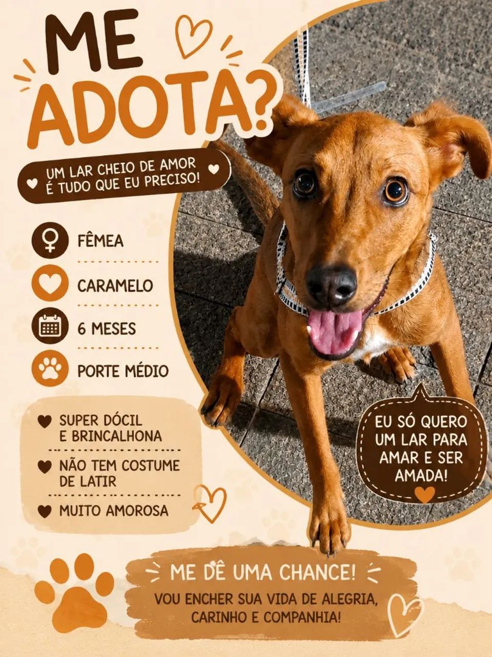 Doação Responsável
