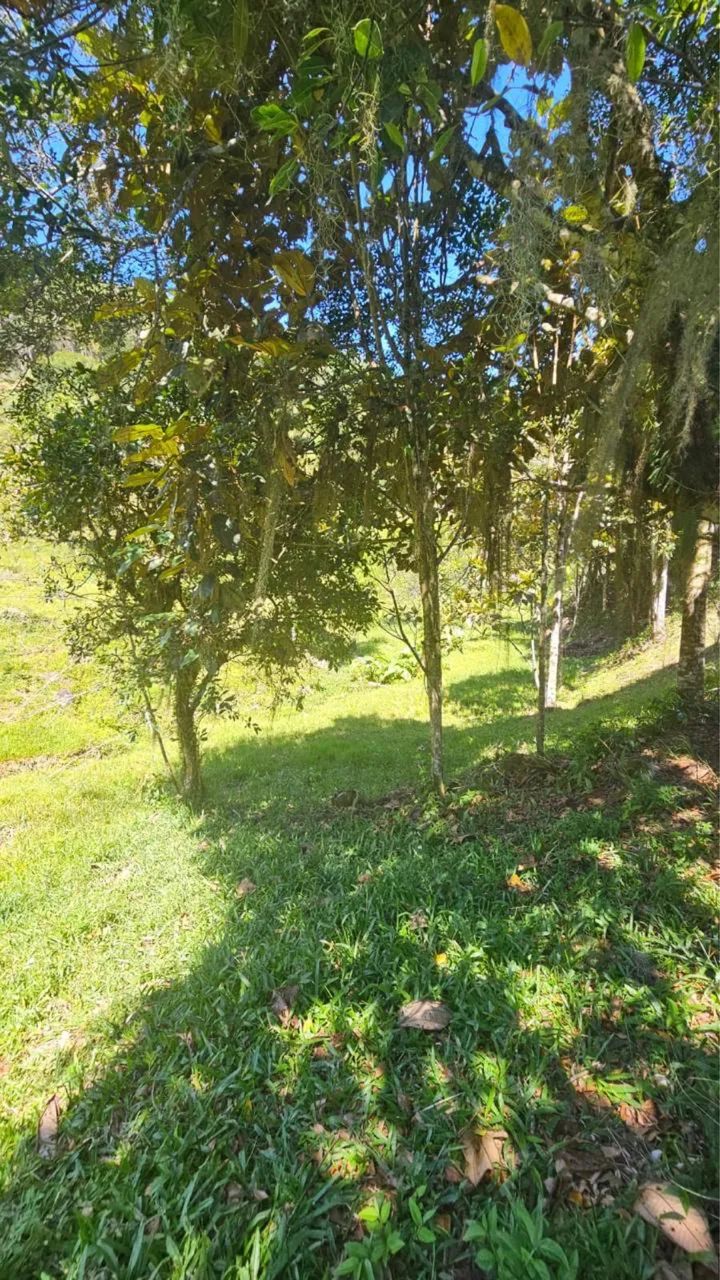 Foto - Águas Mornas - Área Rural