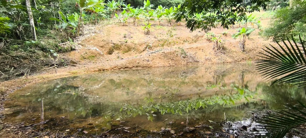 Vendo Chácara em Taquaras - Viana, próximo a Bom Jesus e Peixe Verde  - Foto 4