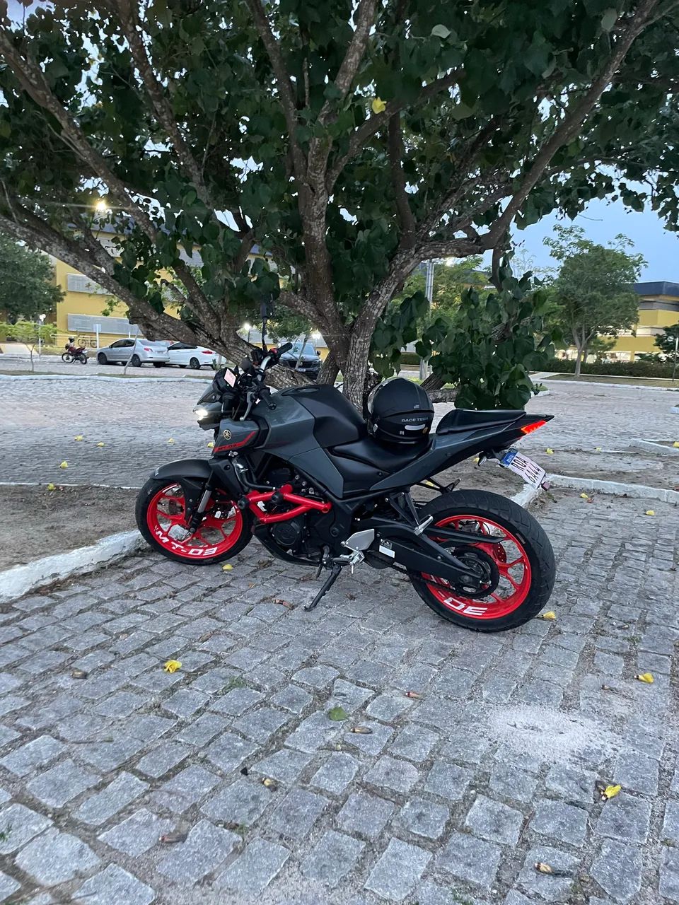 Mt03  - Foto 2
