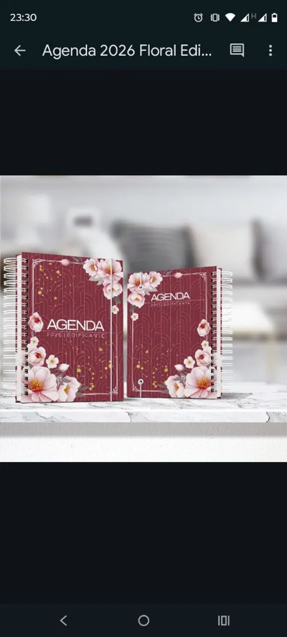 Agendas 450192263968215041