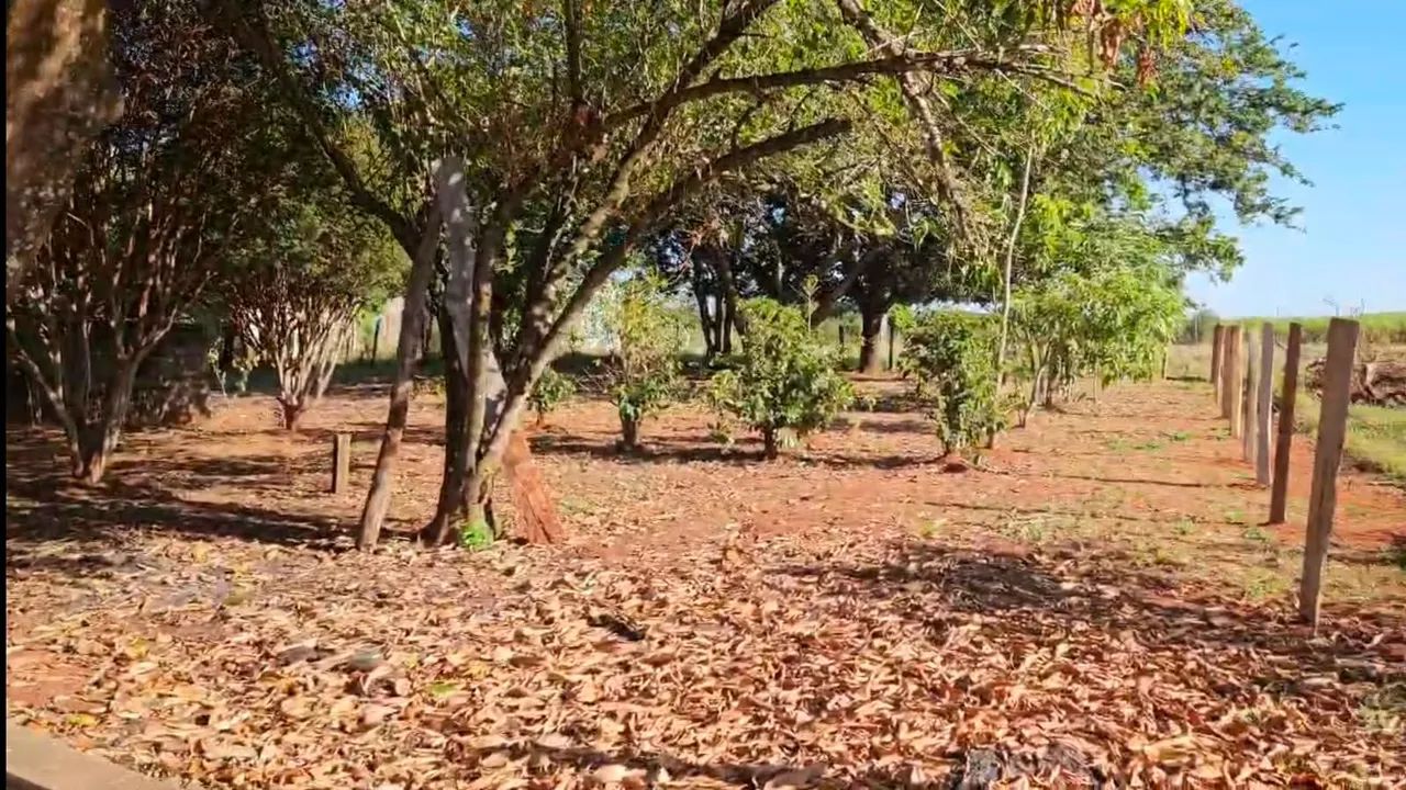Chácara em Serra Azul SP - Foto 2