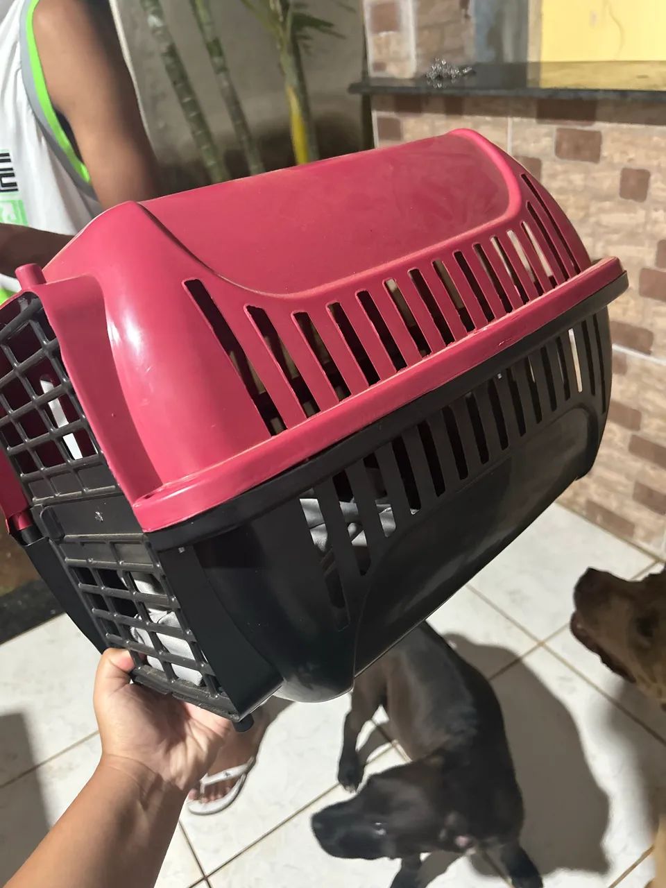 Caixa de transporte pet N3 - Foto 4