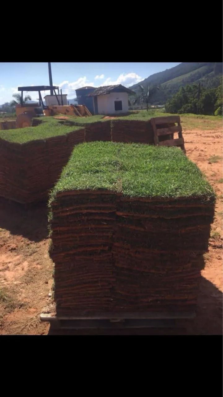 Grama início de ano  - Foto 3