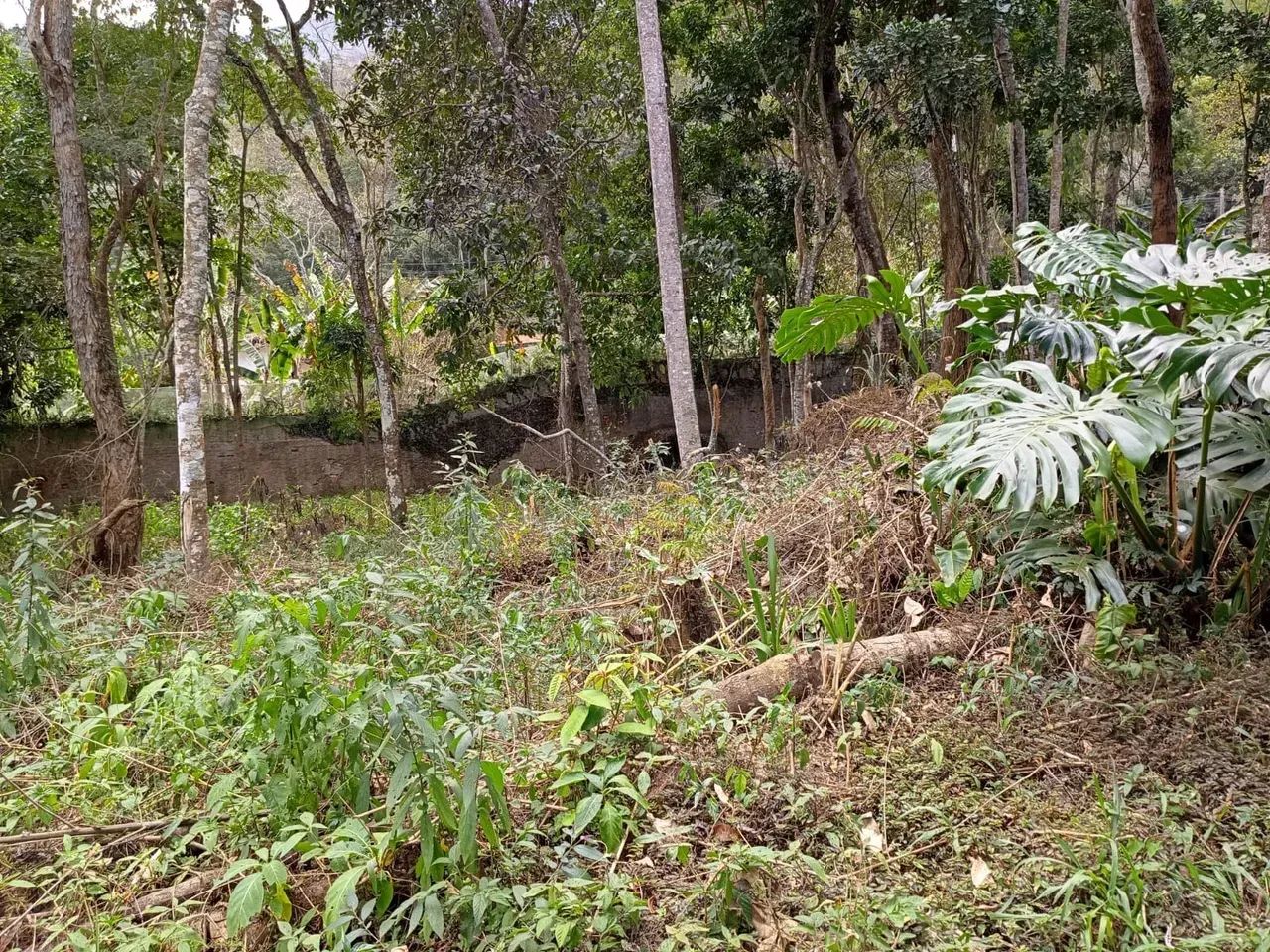 Terreno em Araras - 16 mil m2 Plano - Foto 3