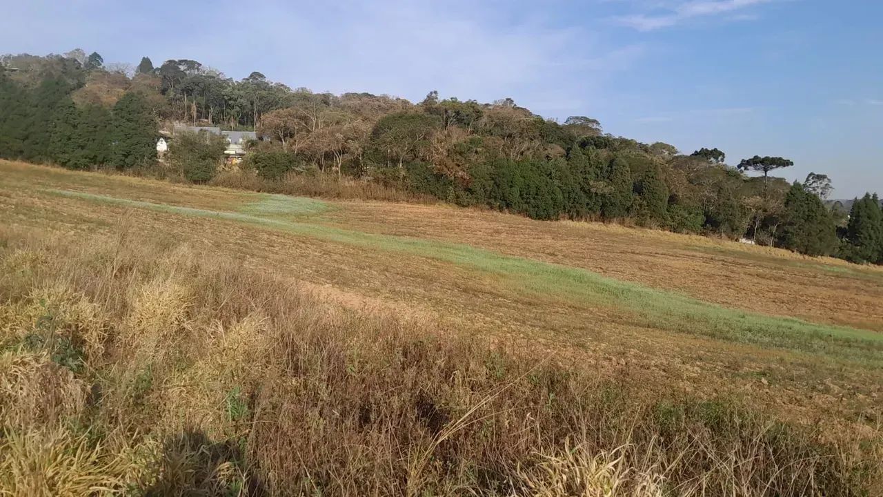 Seu Próximo Passo Está Aqui - Foto 5