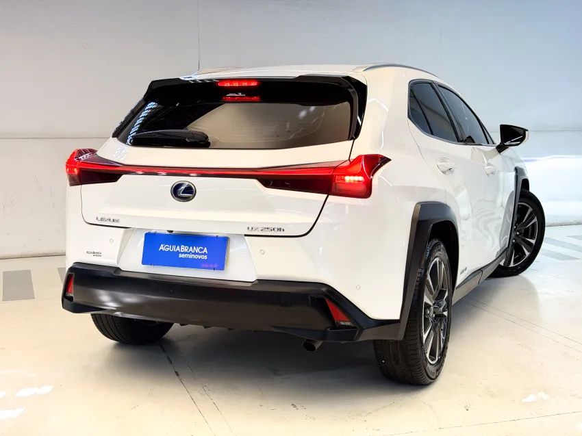 Lexus UX-250h Luxury 2.0 16V Aut.(hybrid), foto 10 de 19