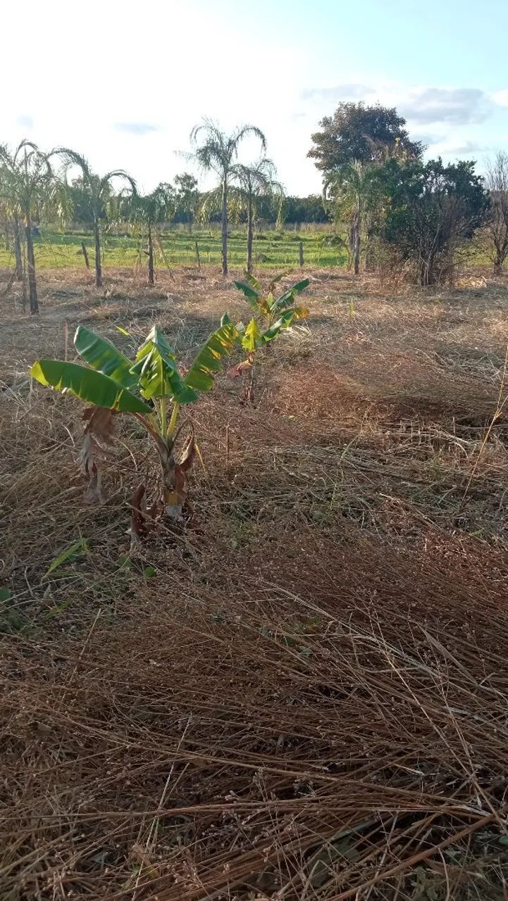 Chácara para morar e/ou lazer