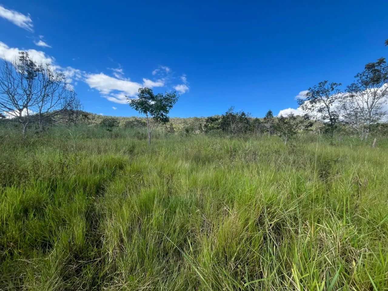 Vendo lotes em Cavalcante  - Foto 5