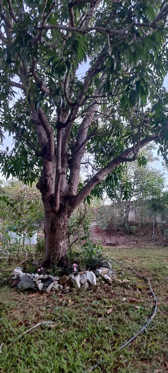 Chácara em Aragoiania  - Foto 3