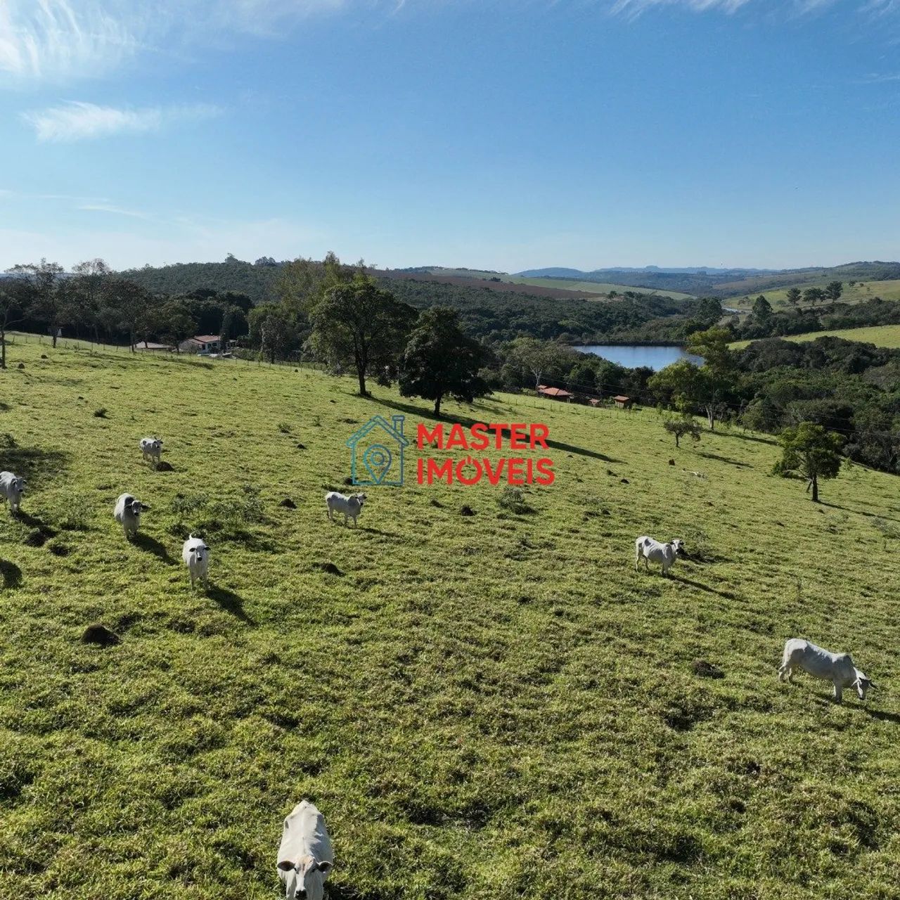 FAZENDA DE 58 HECTARES EM ITAGUARA - Foto 4