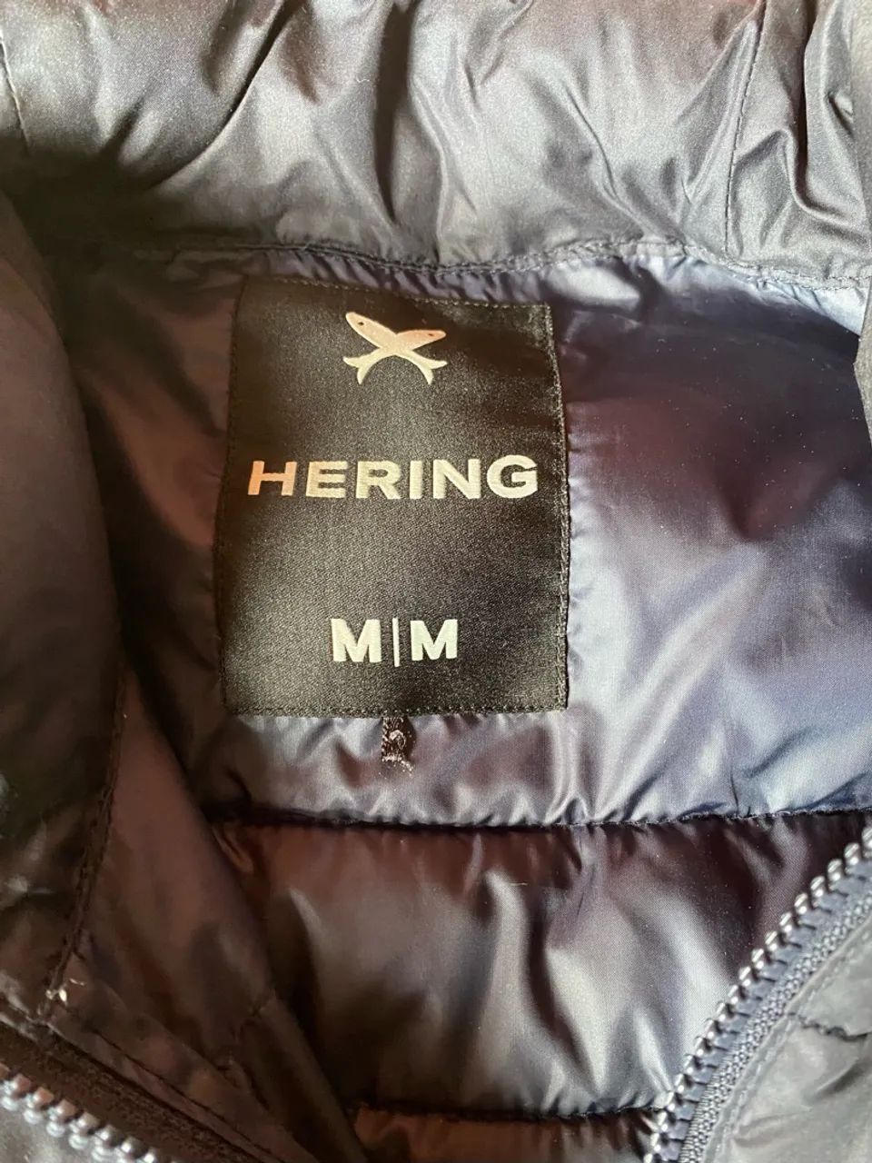 bobojaco hering - Foto 2